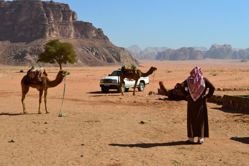 Bedouin with camels in Wadi Rum